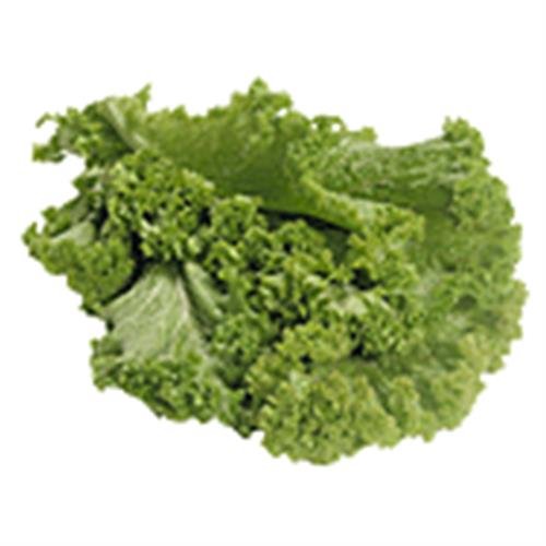 Fresh Mustard Greens Grocery Heart